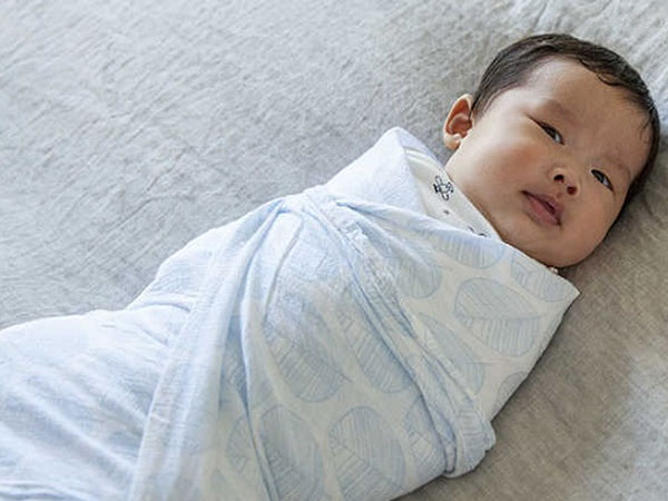Top 7 nguồn sỉ tấm quấn trẻ sơ sinh giá rẻ, giúp bé ngủ ngon